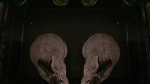 Panasonic GH6 + Apple ProRes RAW | 5.8K Open Gate |  Quick First Test