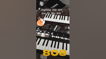 #behringer #arturia #korg #td3 #rd8 #ms1#keysteppro #keystep