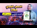 حل كتاب التفوق أحياء أسئلة وتدريبات 2026 الفصل الخامس الدرس الثاني DNA