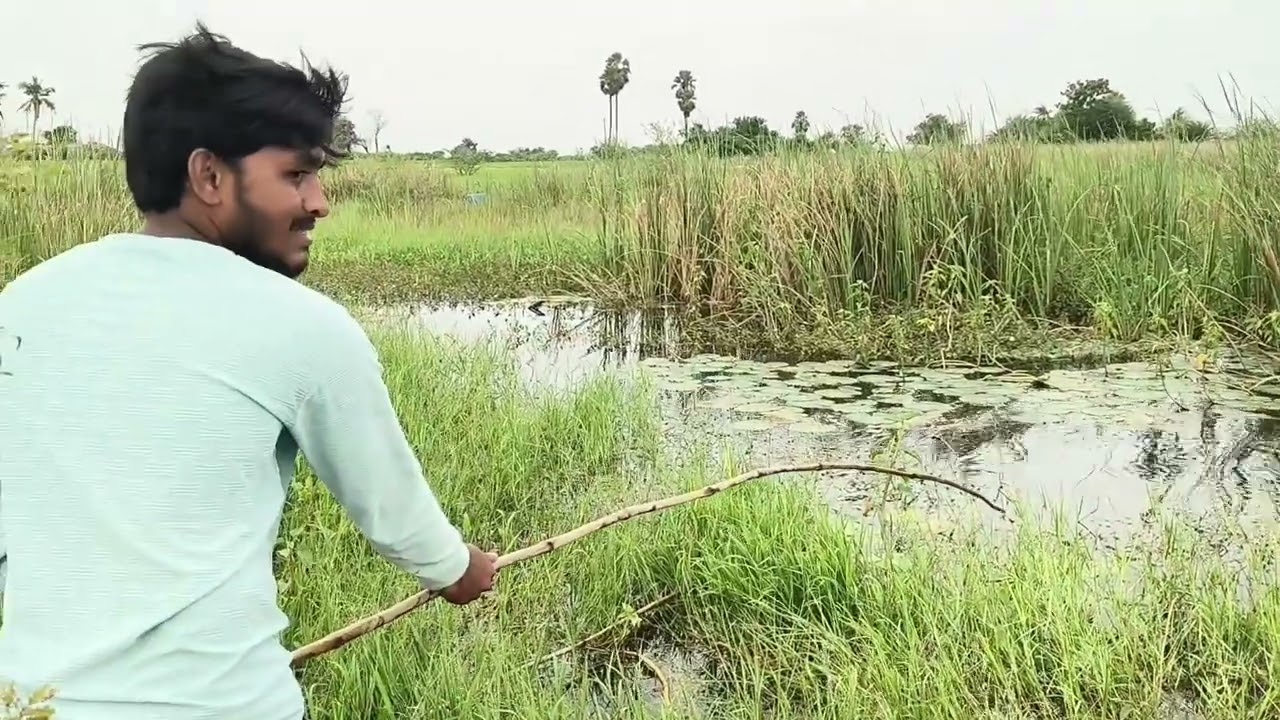 Hunting rahu 🐠 fishing 