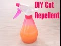 DIY CAT REPELLENT