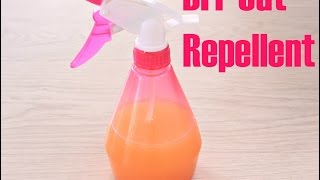 DIY CAT REPELLENT