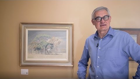 Jacob Hendrik Pierneef Highlights