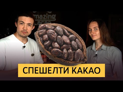 Ароматические какао-бобы | Из чего делают какао и шоколад высшей категории