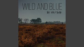 Video thumbnail of "Voltage - Wild and Blue"