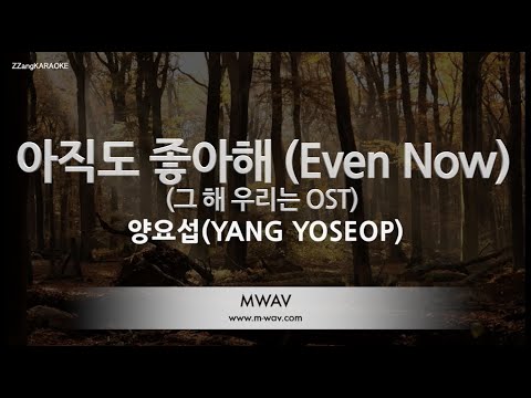 [짱가라오케/노래방] 양요섭(YANG <strong>YOSEOP</strong>)-아직도 좋아해 (Even Now) (그 해 우리는 OST) [ZZang KARAOKE]