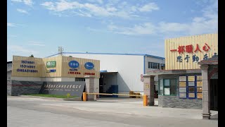 Shanghai Solid Company Profile Video