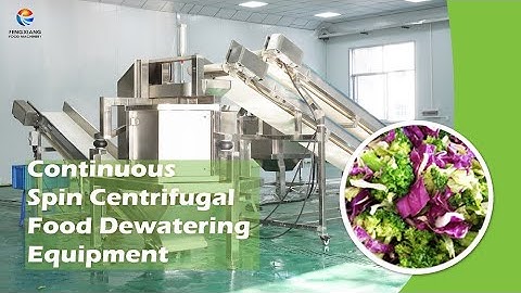 Fengxiang Continuous Vegetable and Fruit Spin Centrifugal Dewatering Machine with Conveyor