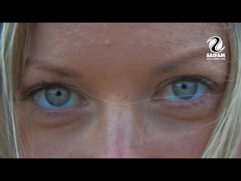 Steven Nicola & Dögun - Too Much Steven Nicola & Dögun - Too Much