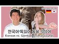 [국제커플 🇰🇷🇩🇪] 한국어 vs. 독일어: 동물 의성어