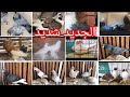 30 جوز شقلباظ ونفاخ وهزاز وزاجل وغزار ورومي وكينج ولاحم فرنساوي