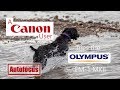 A Canon User Tries The Olympus EM1 MKII Autofocus