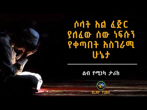 ቪዲዮ: ፀሀይ ታጋሽ የትሮፒካል እፅዋት፡ ለሙሉ ፀሀይ አካባቢዎች ምርጥ ምርጥ የትሮፒካል እፅዋት