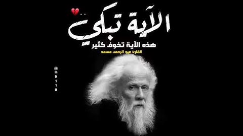 الآية تبكى 🎧💌 صوت جميل 🍃 أجمل حالات واتس اب دينية مقاطع دينية قصيرة مقاطع انستقرام دينية