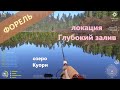Русская рыбалка 4 - озеро Куори - Форель на крэнки