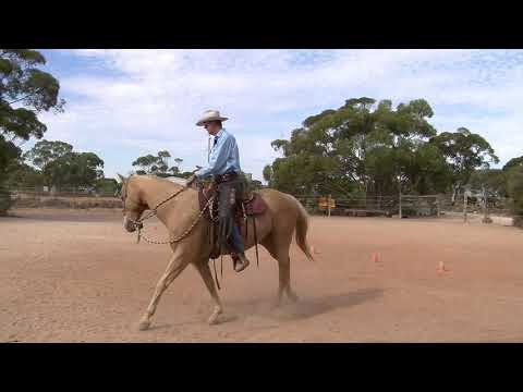 Rider balance and seat position and posture with Steve Halfpenny