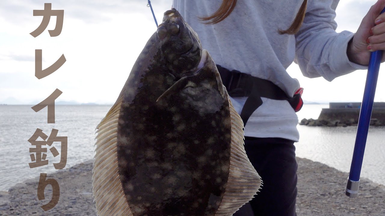 Throw Fishing Sea Fishing I Was A Beginner In Flatfish Fishing And Tried To Aim For Flatfish Youtube