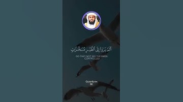 حالات واتساب قران كريم خالد الجليل سورة النحل~ اكتب شيء تؤجر عليه 🧡🌸🌸