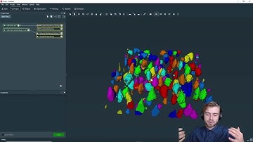 How to change the label colormap to display a label field in Amira or Avizo Software