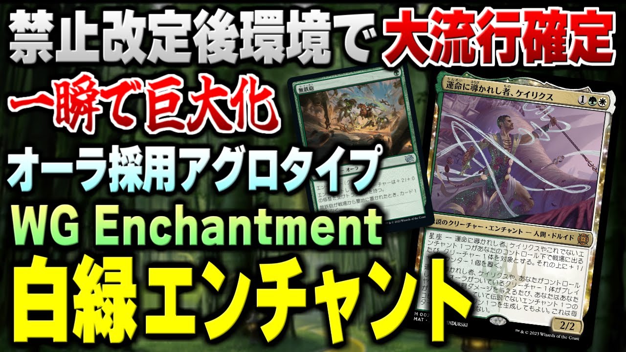 MTG デッキ パイオニア 白緑毒性アグロ - トレーディングカード