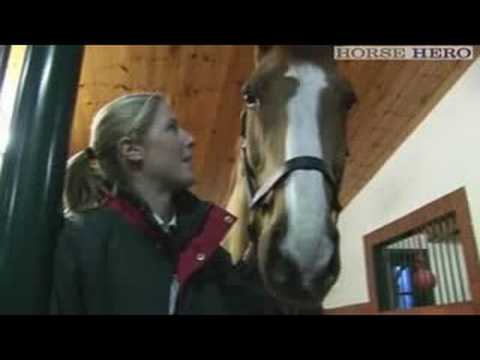 Laura Bechtolsheimer with Douglas Dorsey & Mistral...