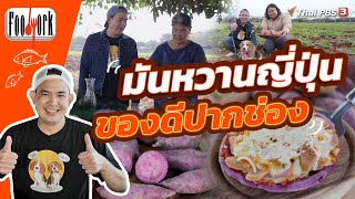 มันหวานญี่ปุ่น เนื้อฉ่ำหอมละมุน ของดีปากช่อง | Foodwork [CC]