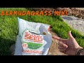 Pennington bermudagrass overseed review with 3 weeks progress and results