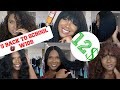 5 AFFORDABLE BACK TO SCHOOL SYNTHETIC WIGS YOU NEED! | SYNTHETIC WIG LOOKBOOK | Hoojadaddy