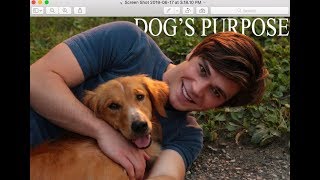 A Dogs Purpose I Bailey&#39;s story I Someone You Loved