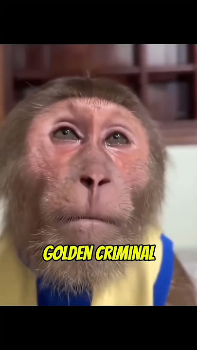 # Tum tum saur vs criminl.. #trending #rils #like  #shortvideo #sobscribe #1k #pliss #ffshorts