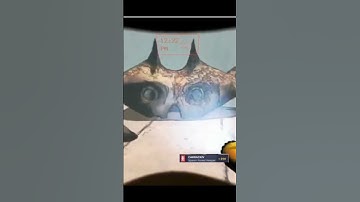 Lethal Company Crowd Control funny moments