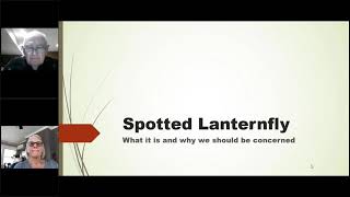 Spotted Lanternfly | The Latest Information