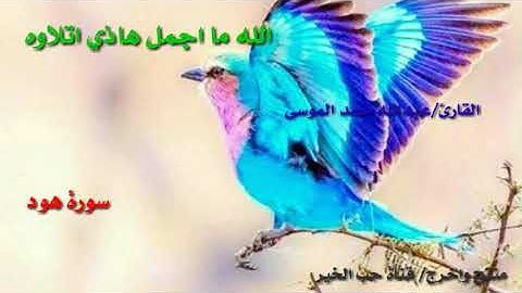 اجمل تلاوه تقشعر منها الابدان ما شاء الله صوت جميل جدا جدا