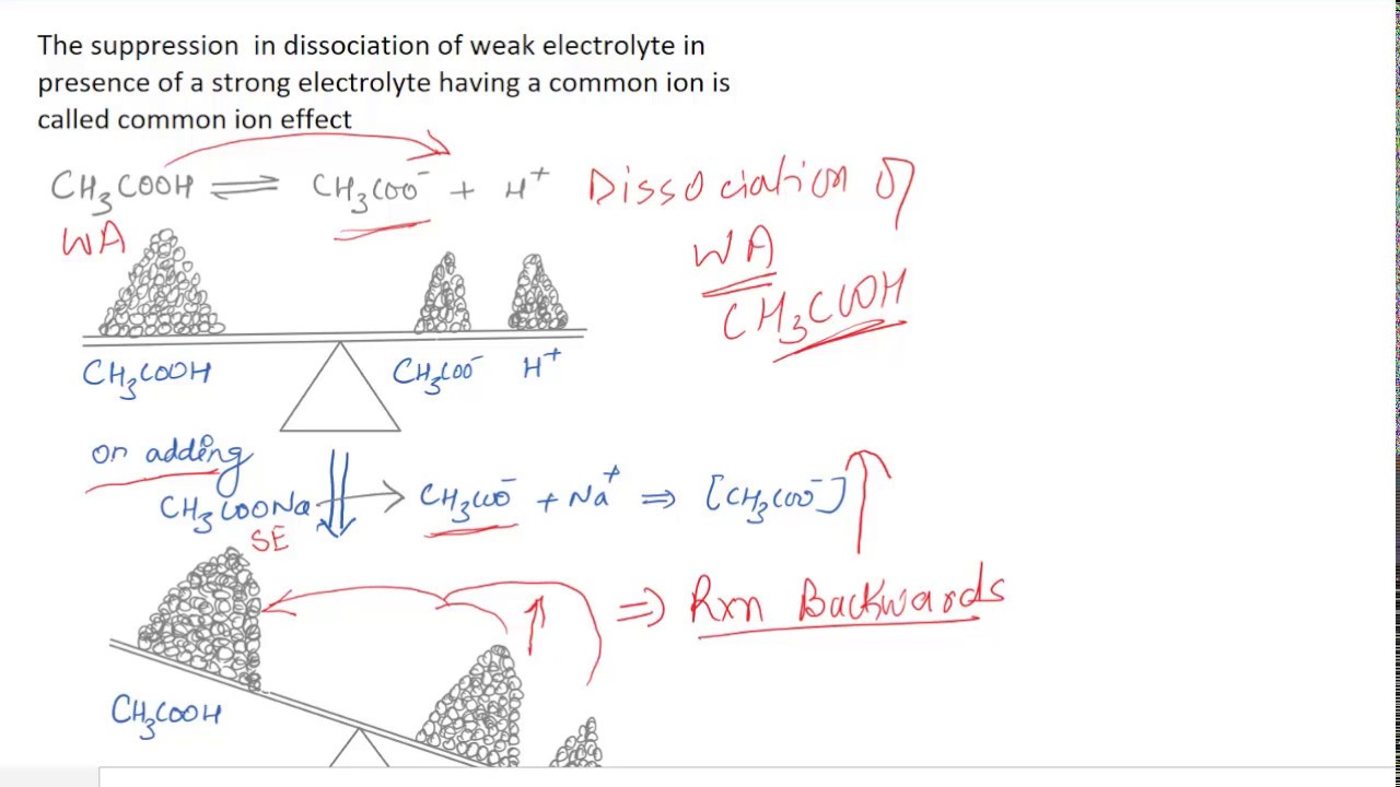 common ion effect(hindi) YouTube