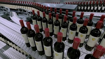 Animation of DYNAC 6300 Accumulation for Wine bottles