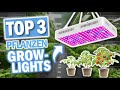 Die besten pflanzen growlights 2024 3 gren