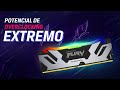 Vídeo: MEMORIA 48GB (24GBx2) DDR5 KINGSTON FURY RENEGADE RGB BUS 6400 MHz (PN:KF564C32RSAK2-48)