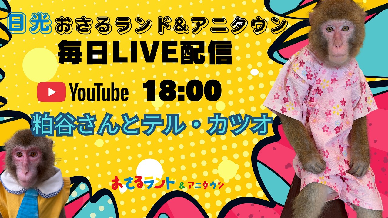 毎日配信】Vol.34 粕谷さんとテル・カツオ おさるランドチャンネル が