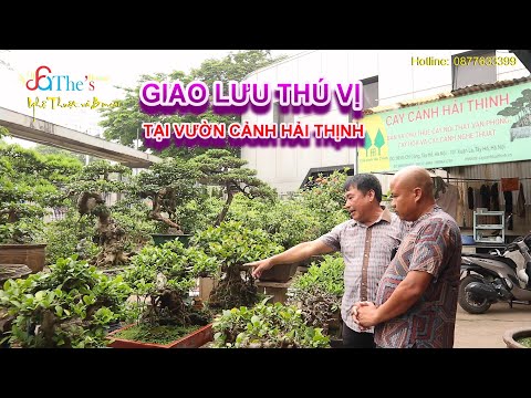 Video Cùng Hoàng Lịch Thiệp ngắm nhiều cây đẹp và giao lưu... - youtube