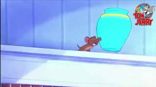 توم وجيري القط المجنون Tom And Jerry Nit Witty Kitty