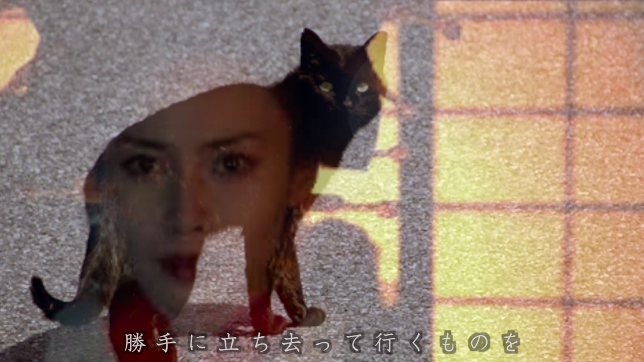 名うての泥棒猫 石川さゆり 椎名林檎 Song By Mayu Youtube