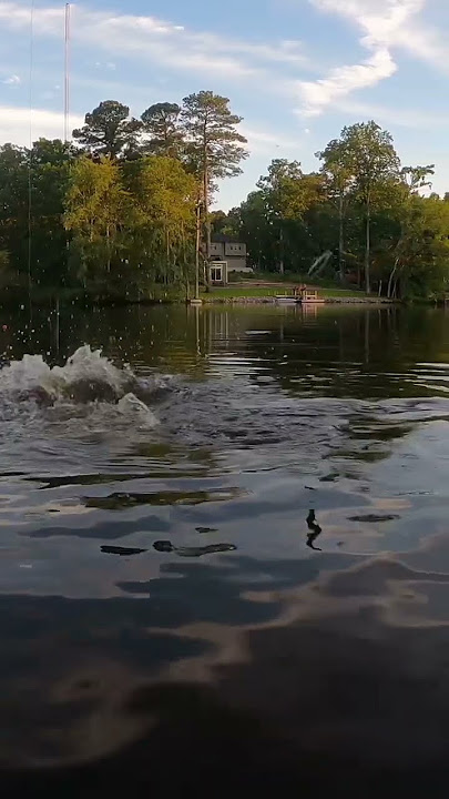 Bass Porn #bassfishing #fish #fishing #fishingvideo #fishinglife #lakelife #slomo # #pondfishing