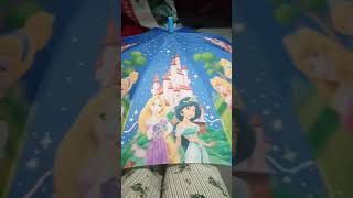 Customising an Disney princesses umbrella