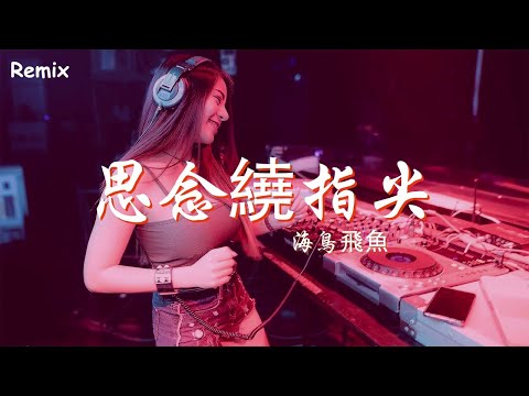 海鳥飛魚 - 思念繞指尖 - [慢搖DJ舞曲] - 2023年最勁爆的DJ歌曲  - [Chinese Dj Remix 2023]
