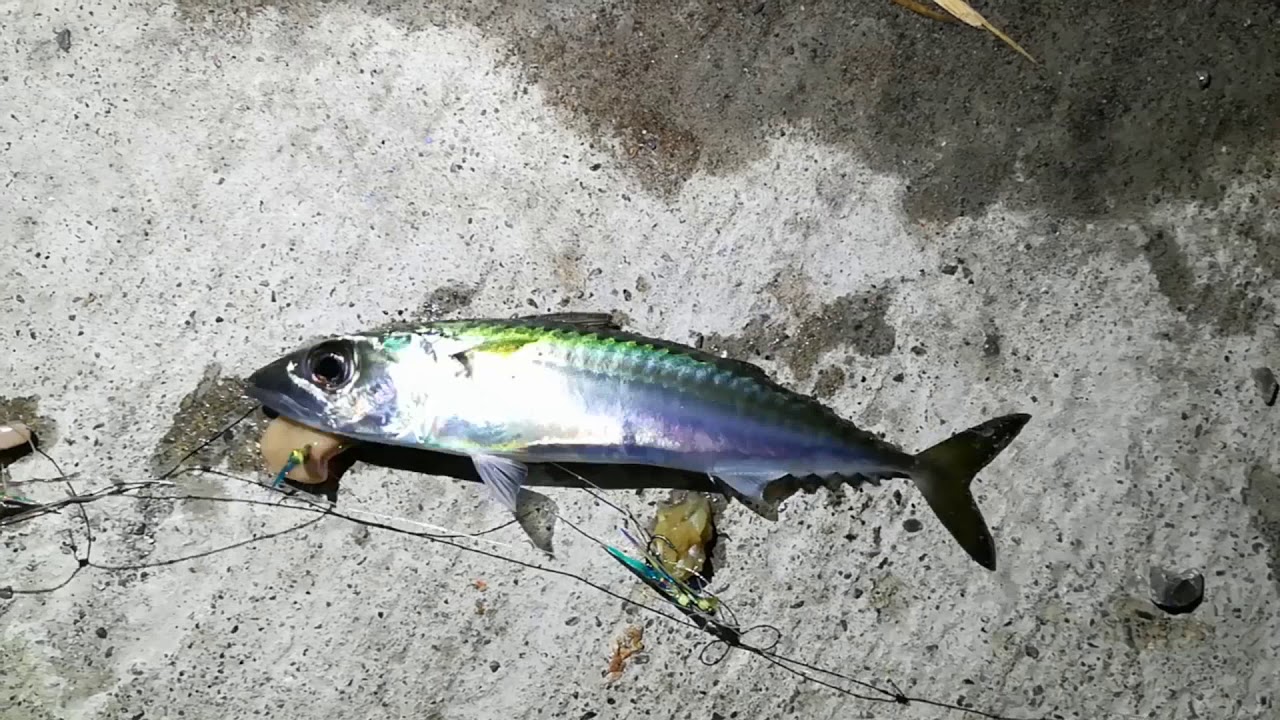 Hokkaido Japan Indonesia Blog