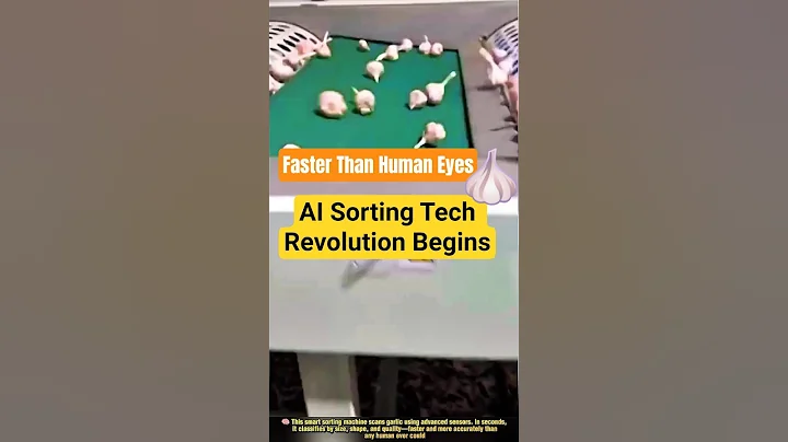 This Garlic Sorting Machine Beats Human Eyes 🧄