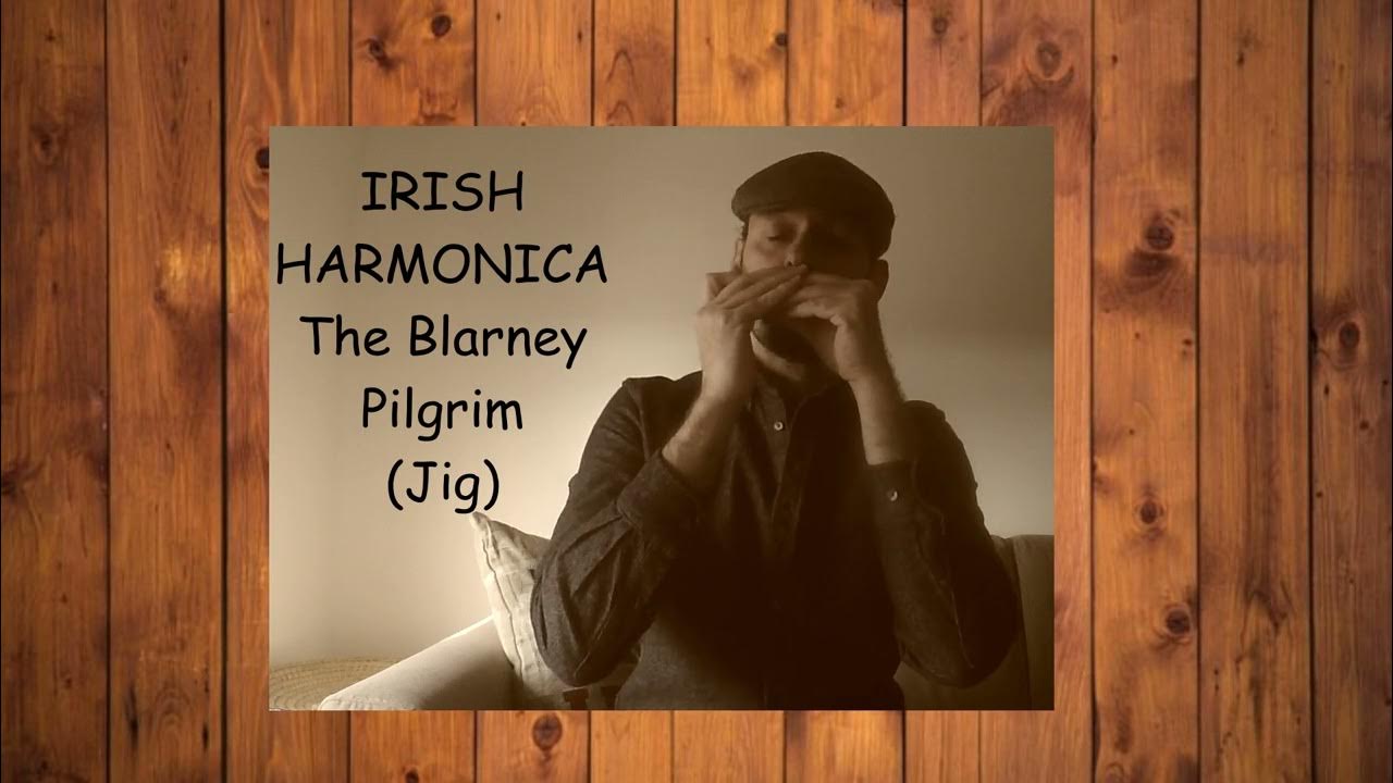 IRISH HARMONICA The Blarney Pilgrim (& TAB) YouTube