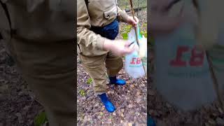 #Shorts Побежали ноги сами,в лес охотно за грибами#видеосупер#грибылеса