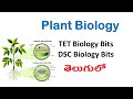 plant biology||science ||science important 40 bits ||tet 2024