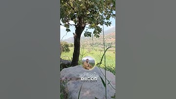 سورة الكهف